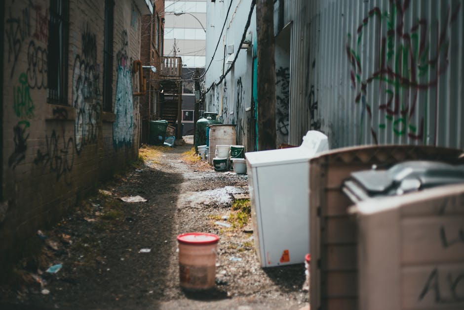 Canning Town rubbish clearance guide for busy residents