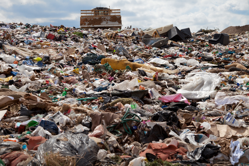 Top 10 Effective Methods to Cut Down on Green Waste